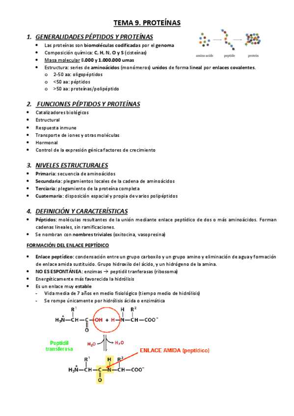 Miniatura del documento TEMA-9.pdf