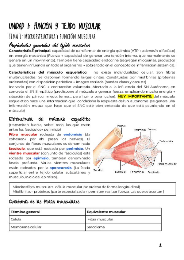 Miniatura del documento UNIDAD-I-TEJIDO-MUSCULAR.pdf
