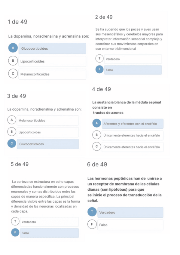 Miniatura del documento Test-Temas-1-Al-8.pdf