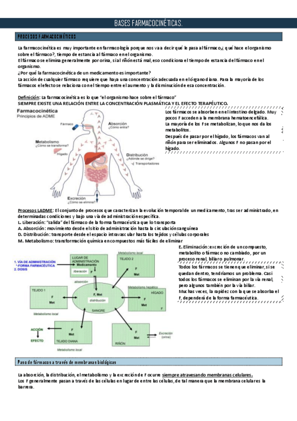 Miniatura del documento 3.pdf