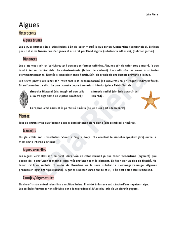 Miniatura del documento 3.pdf