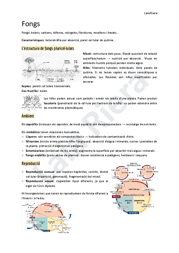 Miniatura del documento 4.pdf