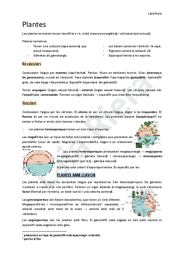 Miniatura del documento 5.pdf