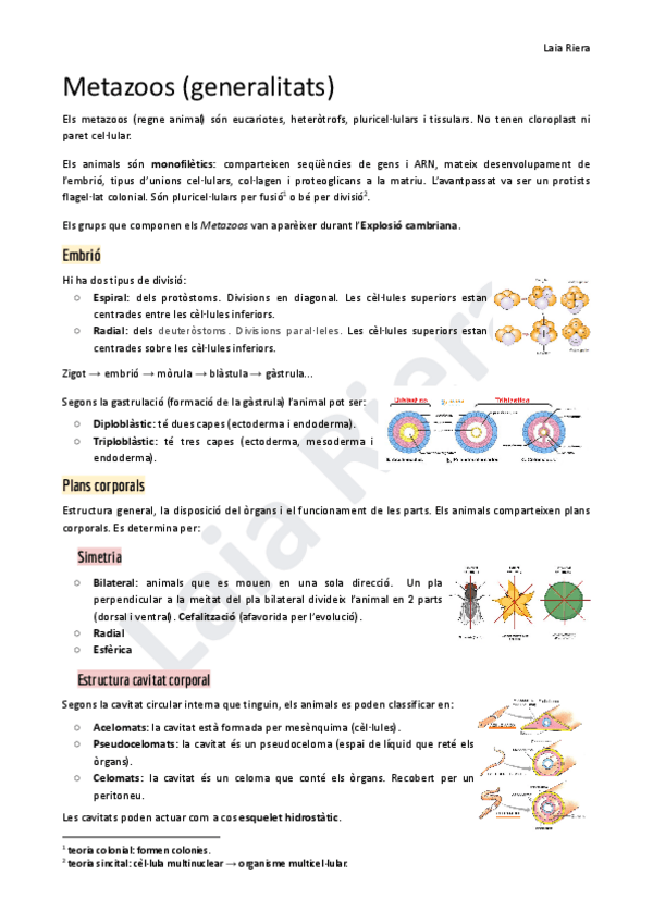 Miniatura del documento 6.pdf