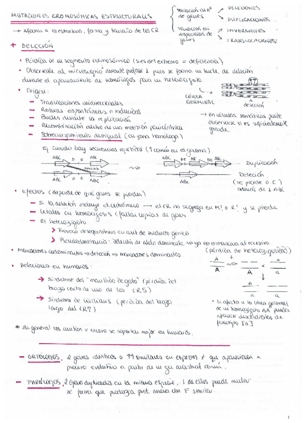 Miniatura del documento mutacionesestructurales.pdf