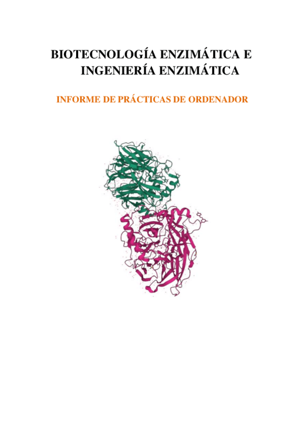 Miniatura del documento INFORME-P.pdf