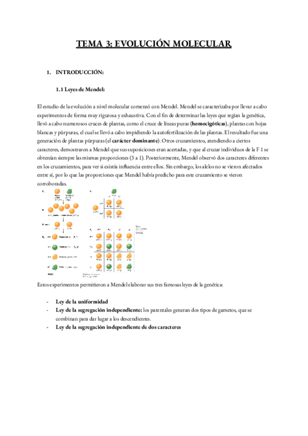 Miniatura del documento TEMA-3-EVOLUCION-MOLECULAR-listo-2.pdf