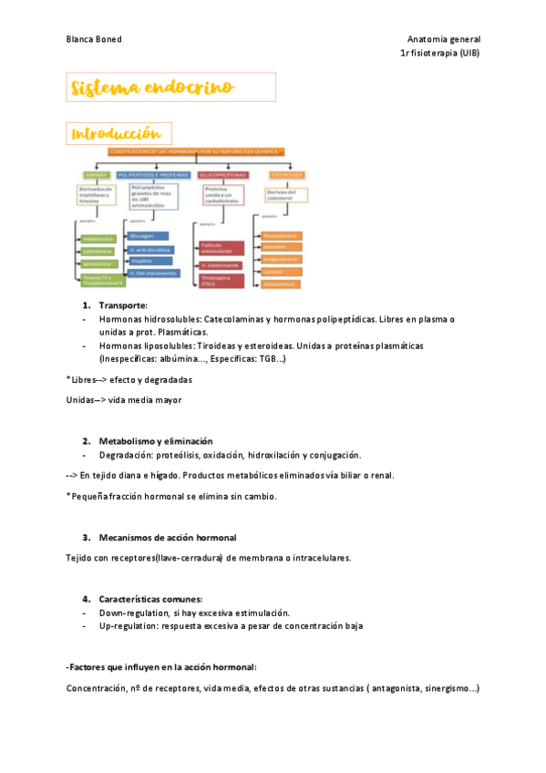 Miniatura del documento Sistema-enodcrino-anatomia-general.pdf
