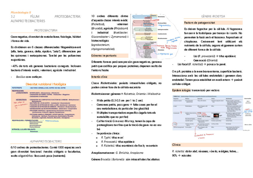 Miniatura del documento Micro-II-bacteris-3.pdf