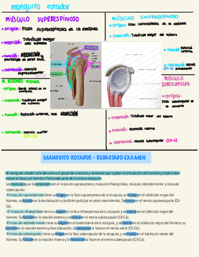 Miniatura del documento MANGUITO-ROTADOR-esquema-y-redactado-.pdf