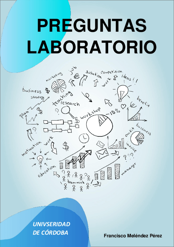 Miniatura del documento Preguntas-Laboratorio.pdf