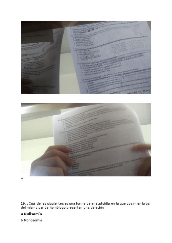 Miniatura del documento TEST.docx