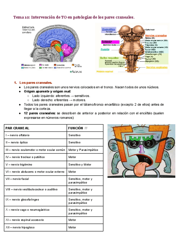 Miniatura del documento Tema-10.pdf