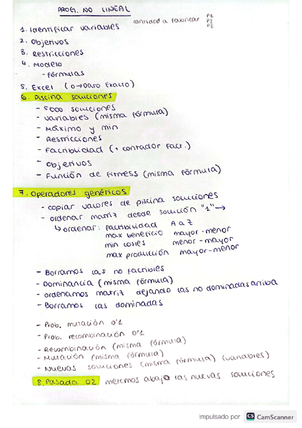 Miniatura del documento pasos-programacion no lineal.pdf