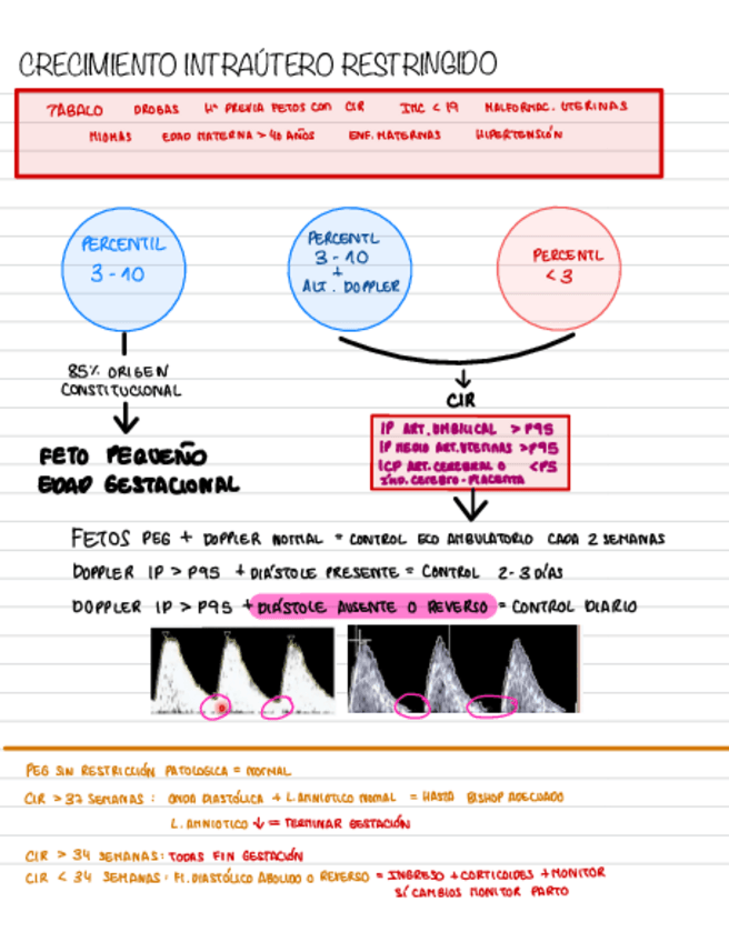 Miniatura del documento Bloc-de-notas-sin-titulo-6.pdf