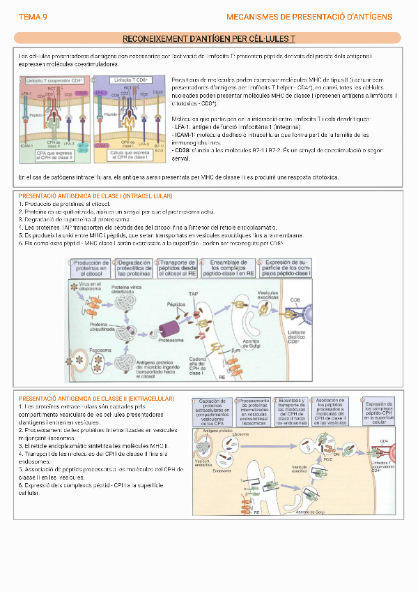 Miniatura del documento 2n-PARCIAL.pdf