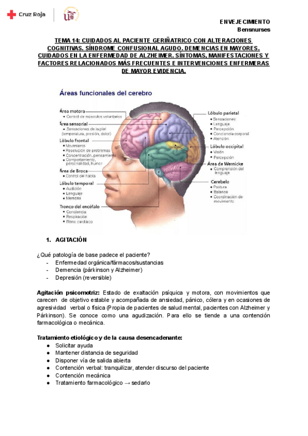Miniatura del documento TEMA-14-ENVEJECIMIENTO.pdf