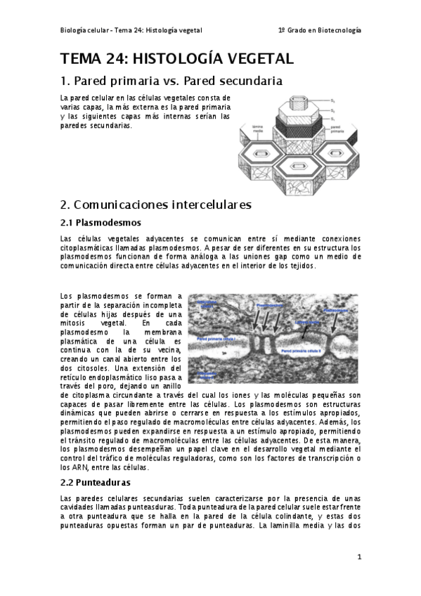 Miniatura del documento Tema-24.pdf