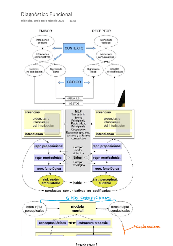 Miniatura del documento Diagnostico-Funcional-Lenguaje.pdf