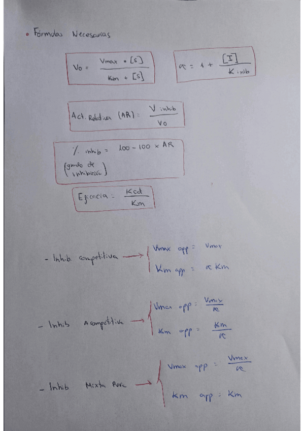 Miniatura del documento Ejercicios-Actividad-Enzimatica.pdf