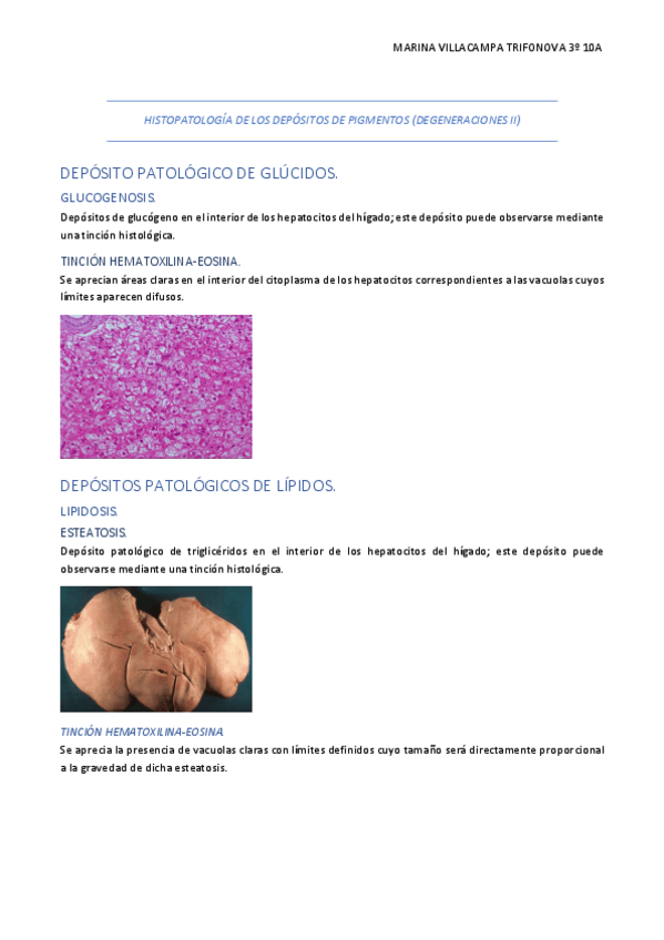 Miniatura del documento Practica-2.pdf
