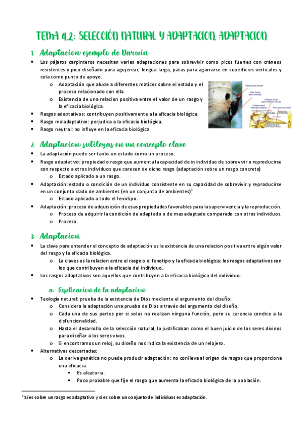 Miniatura del documento Tema-4.pdf