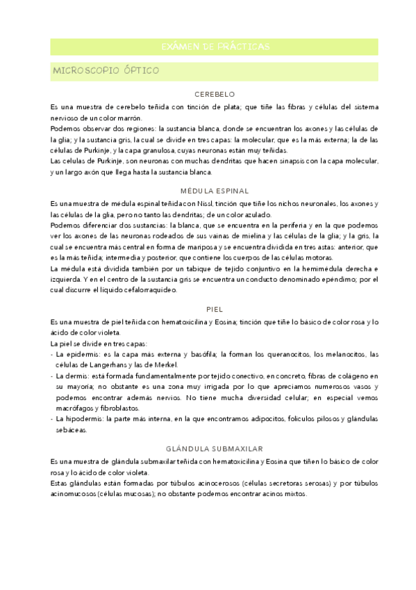 Miniatura del documento APUNTES-EXAMEN-PRACTICAS.pdf