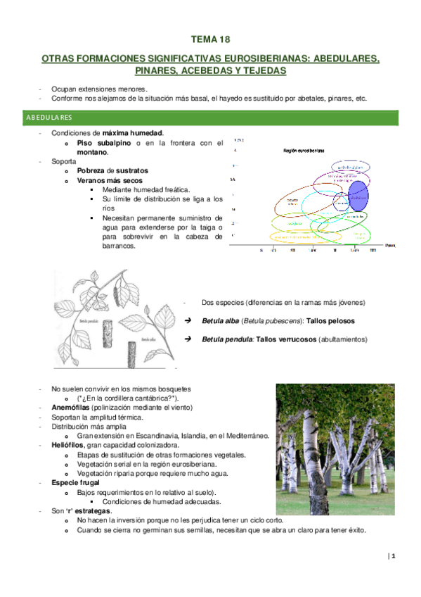 Miniatura del documento TEMA-18.pdf