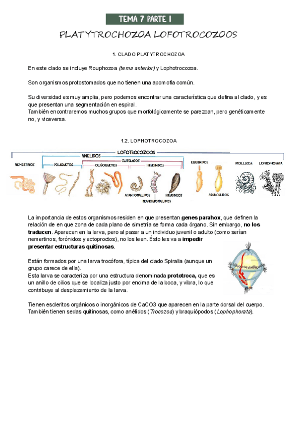 Miniatura del documento T7Parte-1.pdf