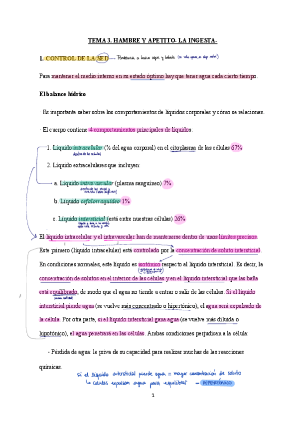 Miniatura del documento T3-Ingesta-y-hambre.pdf