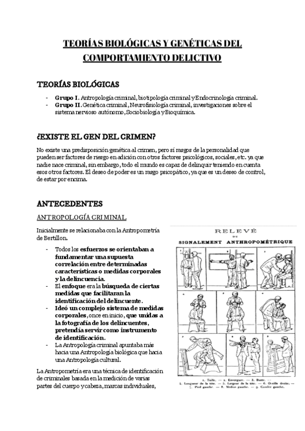 Miniatura del documento TEMA-4.pdf