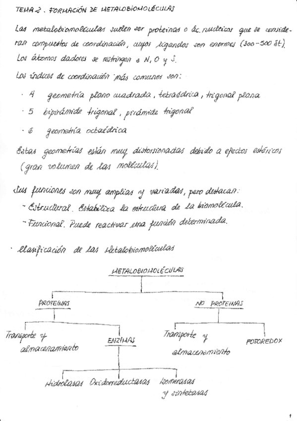 Miniatura del documento Tema 2 Formación de las metalobiomoléculas.pdf