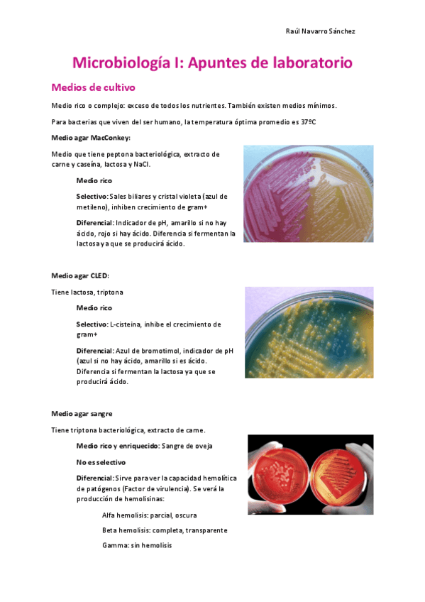 Miniatura del documento Apuntes-laboratorio.pdf