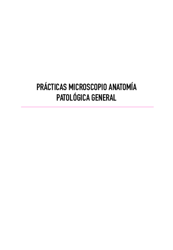 Miniatura del documento Practicas-APG.pdf