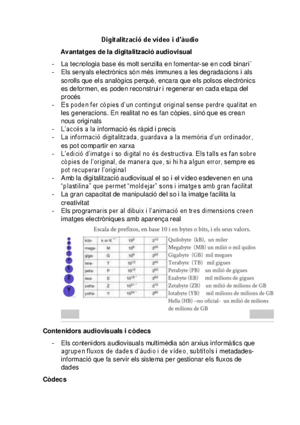 Miniatura del documento Digitalitzacio-de-video-i-d.pdf