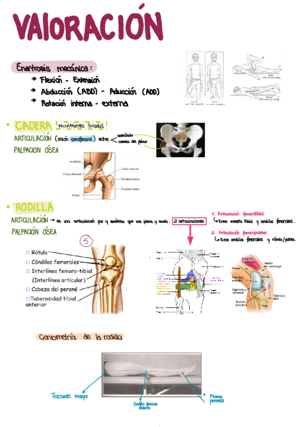 Miniatura del documento Practico-oseo.pdf