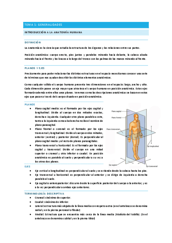Miniatura del documento TEMA-INTRODUCCION-Parte-I.pdf