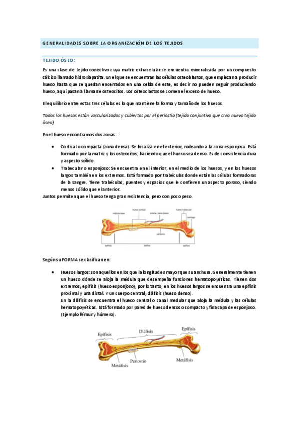 Miniatura del documento TEMA-INTRODUCCION-Parte-II.pdf