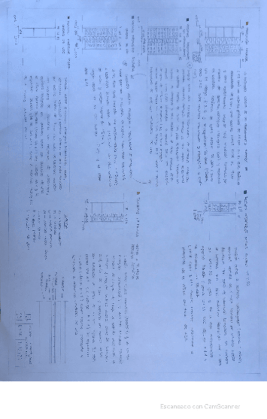 Miniatura del documento 12.pdf