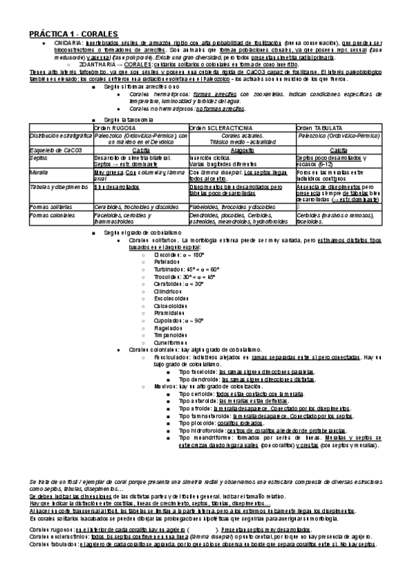 Miniatura del documento RESUMEN-PRACTICAS-DE-PALEONTOLOGIA.pdf