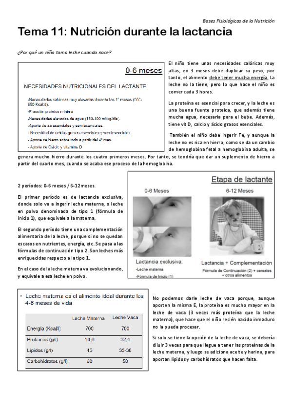 Miniatura del documento Tema-11-Lactancia-H.pdf