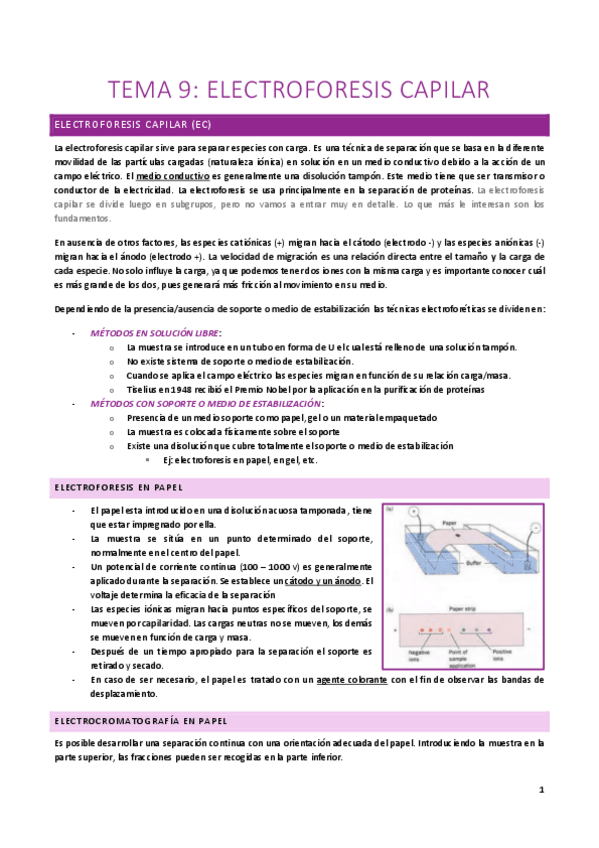 Miniatura del documento TAAI-T9.pdf