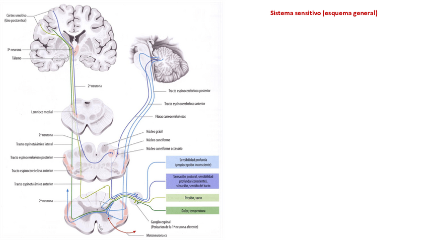 Miniatura del documento Extra-ATM2.pdf