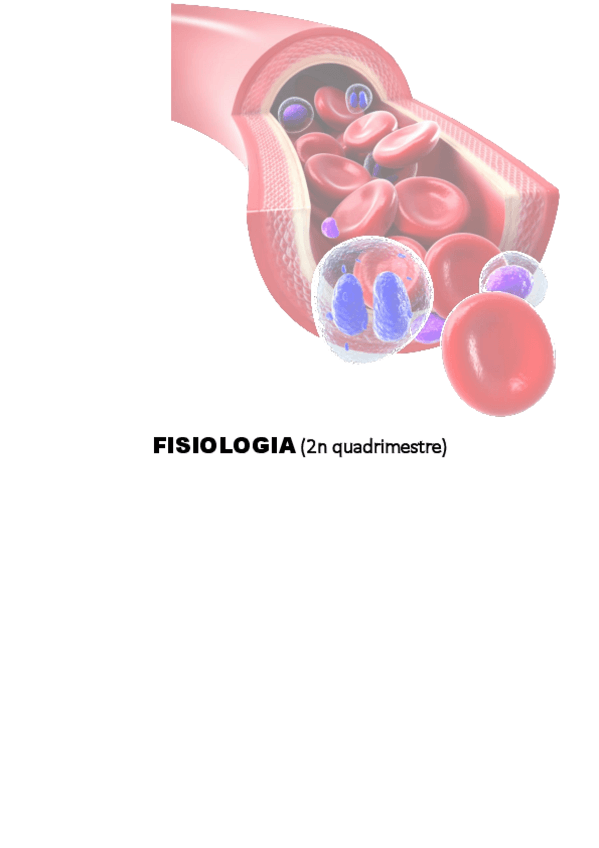 Miniatura del documento Apunts-acabats.pdf