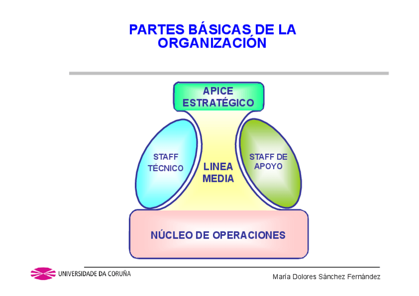 Miniatura del documento T4Partes-Organizacion.pdf