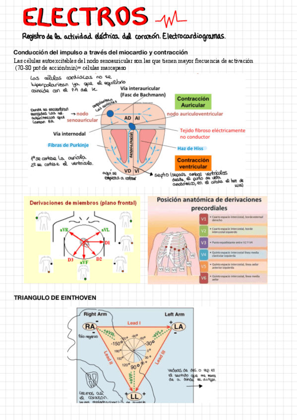 Miniatura del documento ELECTRO-be7c997a264cface24ed9f8c3cc0adb3.pdf