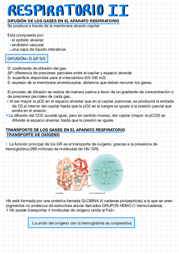 Miniatura del documento Respiratorio-II.pdf