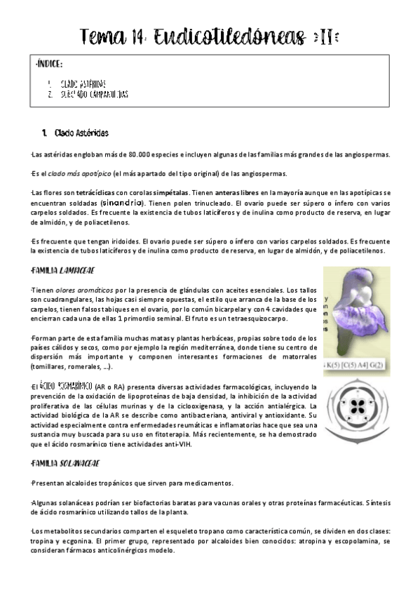 Miniatura del documento Tema-14-botanica.pdf