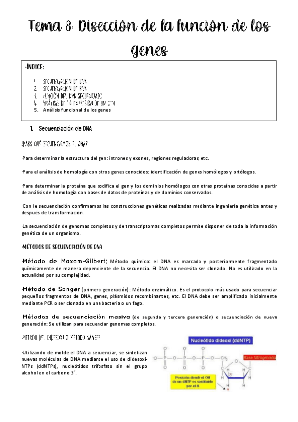 Miniatura del documento Tema-8-genetica.pdf