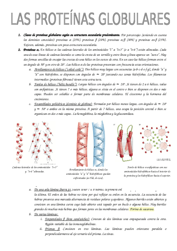 Miniatura del documento Tema-6-Las-Proteinas-Globulares.pdf